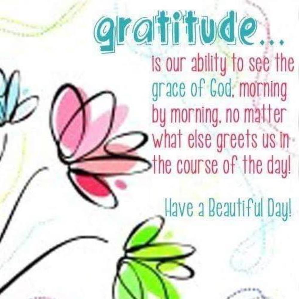 Meet your Posher, Suzy